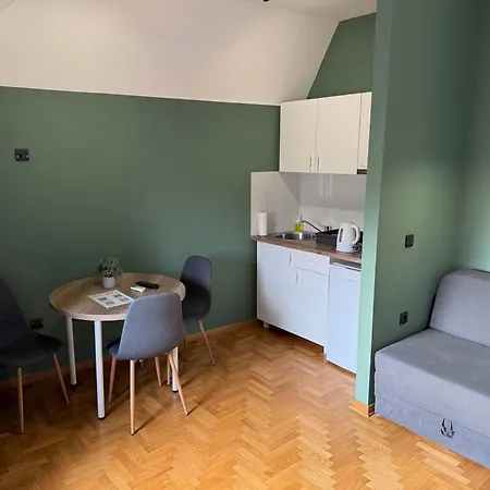 Aleksei Apartment